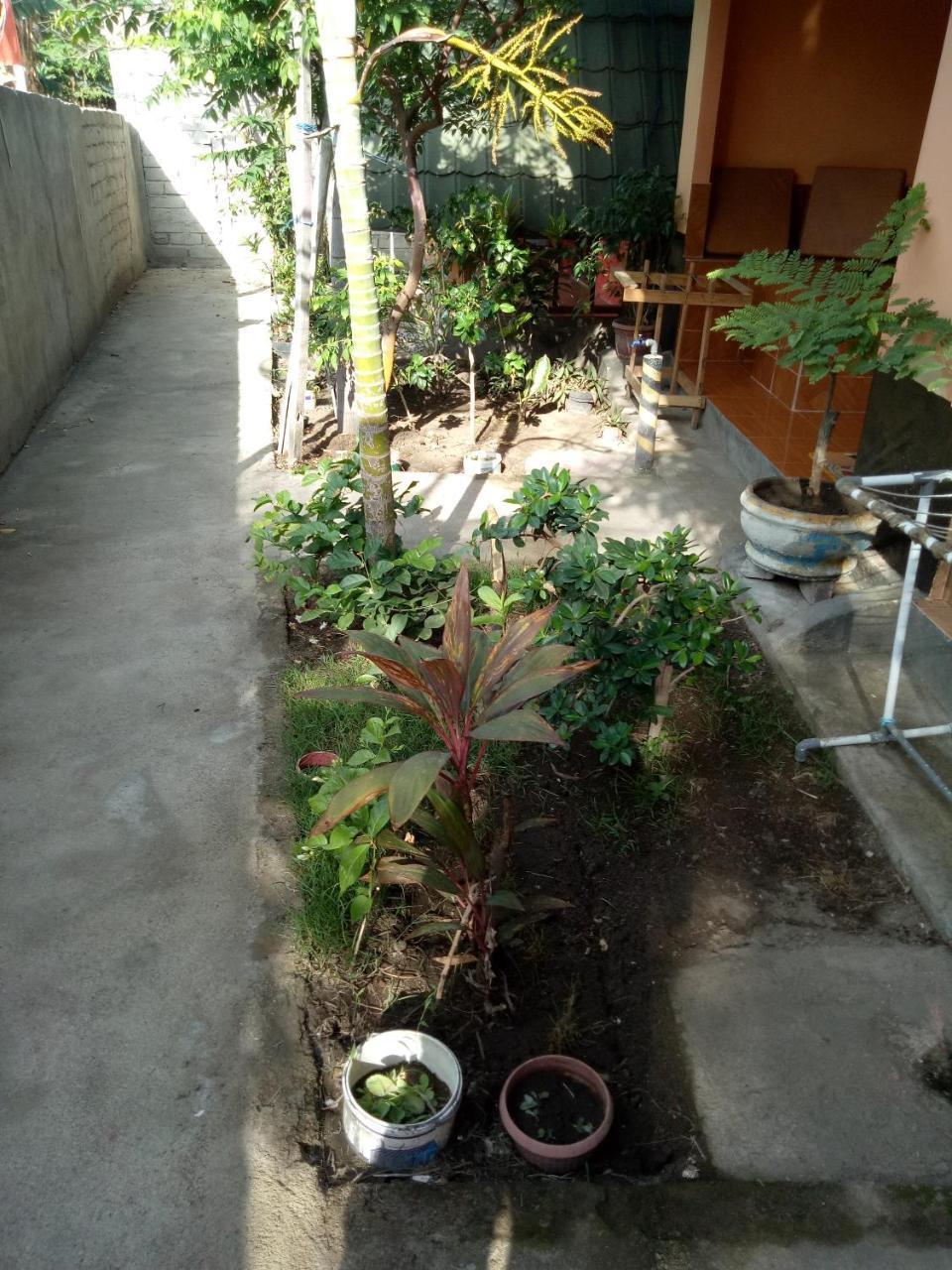 Aladdin Homestay Gili Air Extérieur photo
